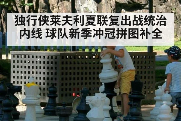 独行侠莱夫利夏联复出战统治内线 球队新季冲冠拼图补全