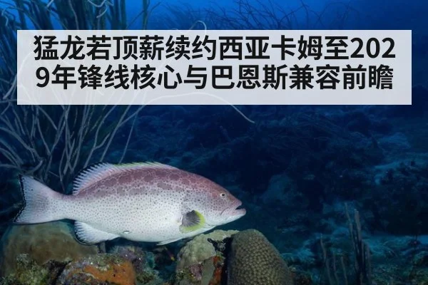猛龙若顶薪续约西亚卡姆至2029年锋线核心与巴恩斯兼容前瞻